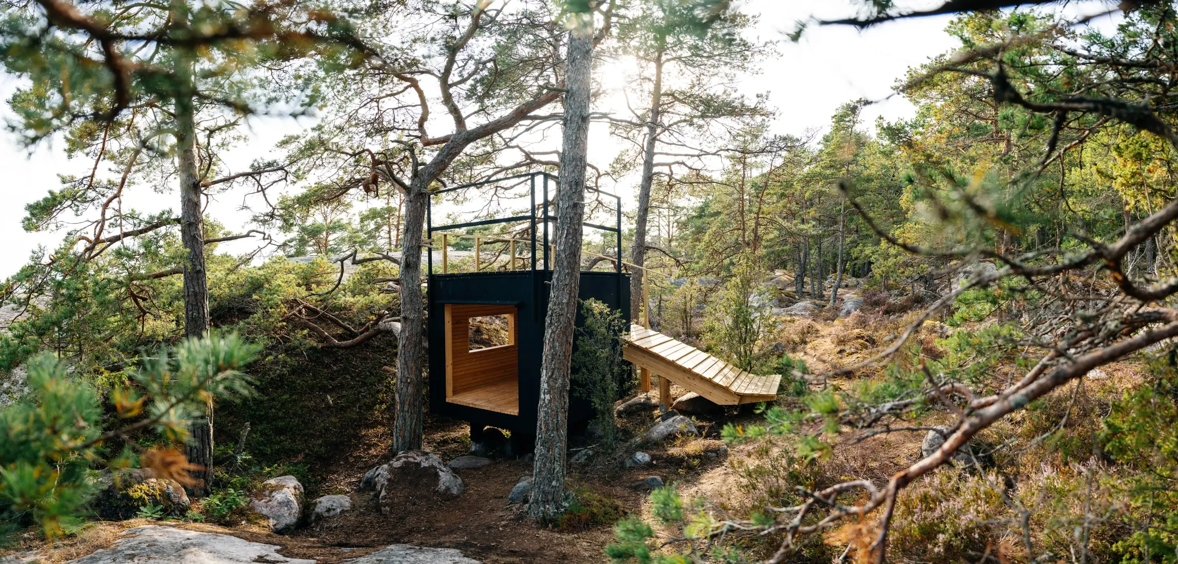 Wide view of the shelter tucked into a wooded hollow, sun breaking through the trees