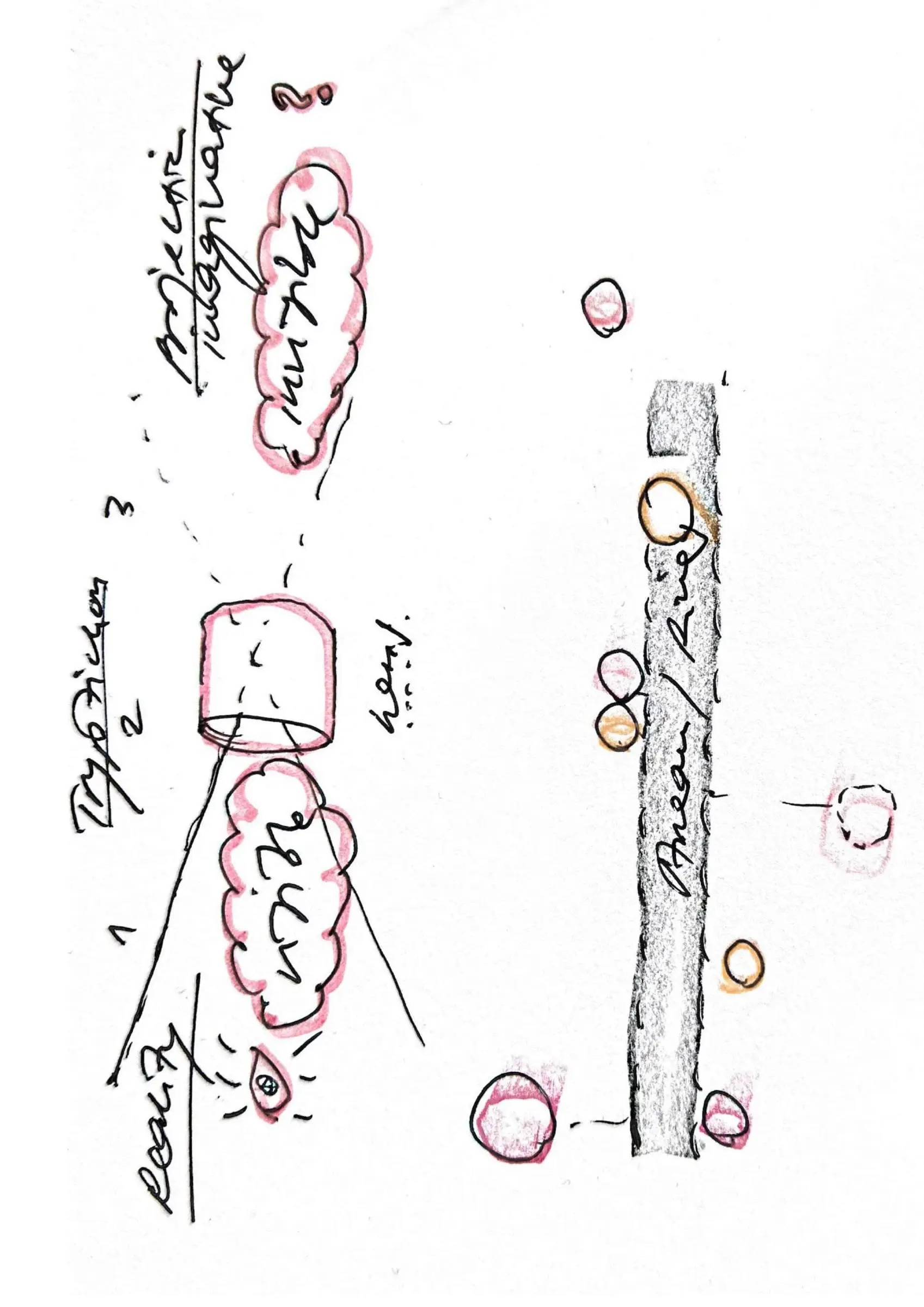 Pen sketch of a tube and scattered circles with handwritten notes