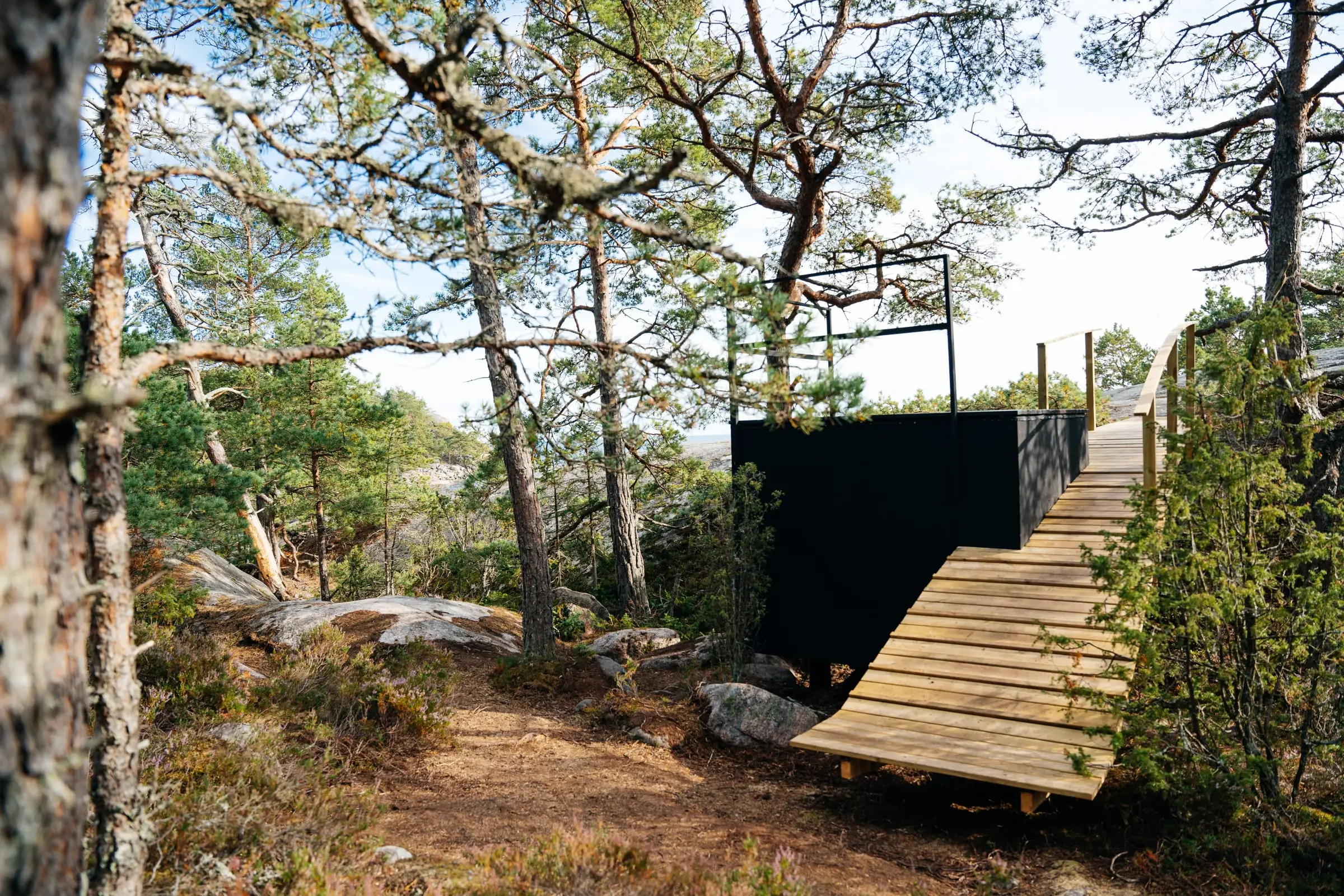A black timber shelter among pine trees, a pale wooden bridge climbing from the rock onto its roof