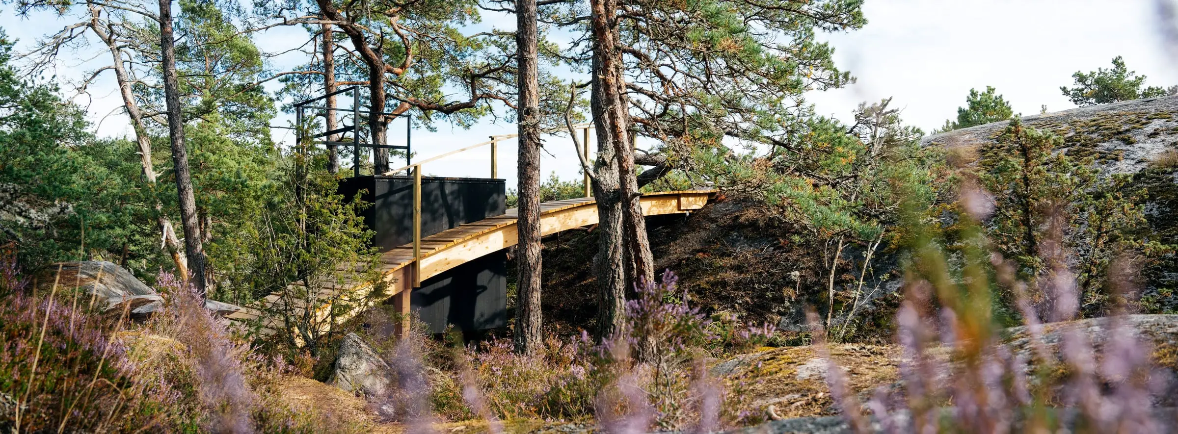 The shelter and its bridge seen low across flowering heather, rock and pines