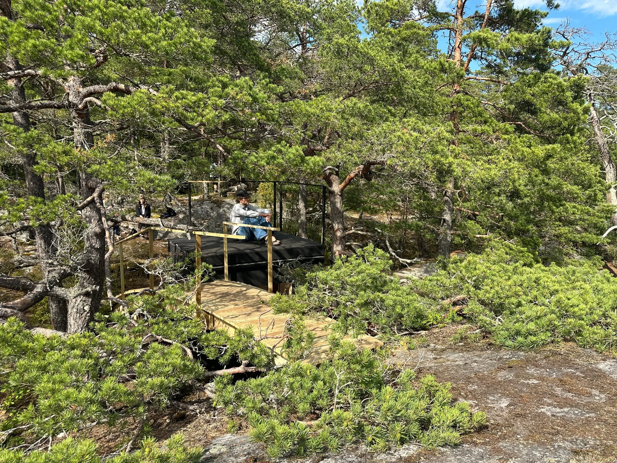 The shelter seen through dense pines, a person sitting on top
