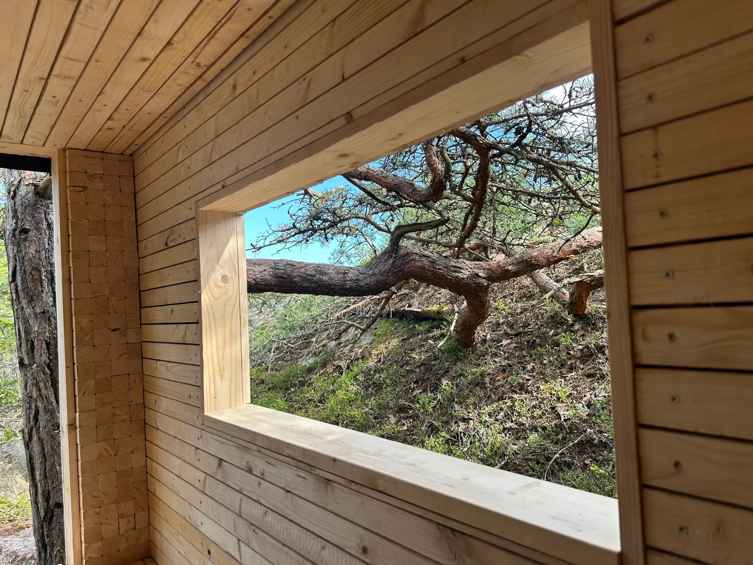 A wide window in the timber wall framing a twisted pine branch and the rock